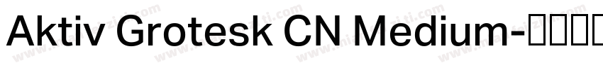 Aktiv Grotesk CN Medium字体转换